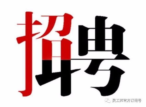 人员计划 招聘 面试 背调 入职 转正 离职的表格都在这里了